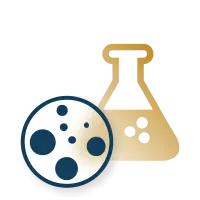 laboratorio laboratorio